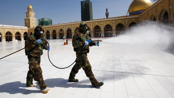 Members of the civil defense team spray disinfectant to sanitize surrounding of the Kufa mosque - Sputnik International