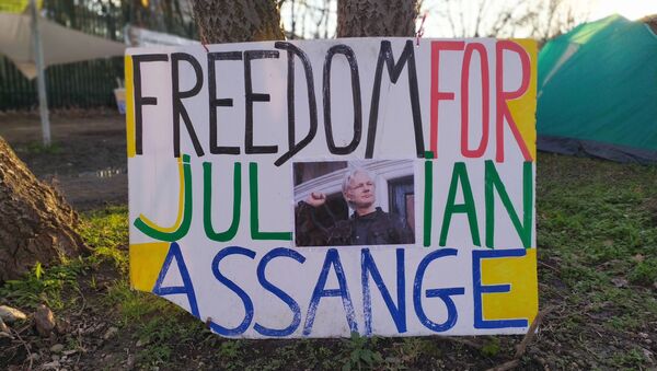 Freedom for Julian Assange Banner taken Jan_Feb 2020 by Mohamed Elmaazi - Sputnik International
