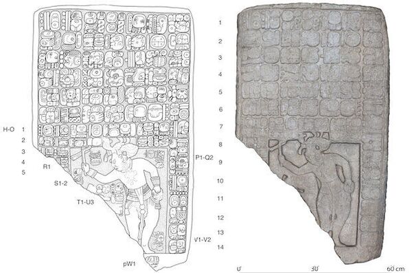 Scientists Discover Capital of Ancient Mayan Kingdom at Cattle Ranch in Mexico - Photos Scientists Discover Capital of Ancient Mayan Kingdom at Cattle Ranch in Mexico - Photos - Sputnik International