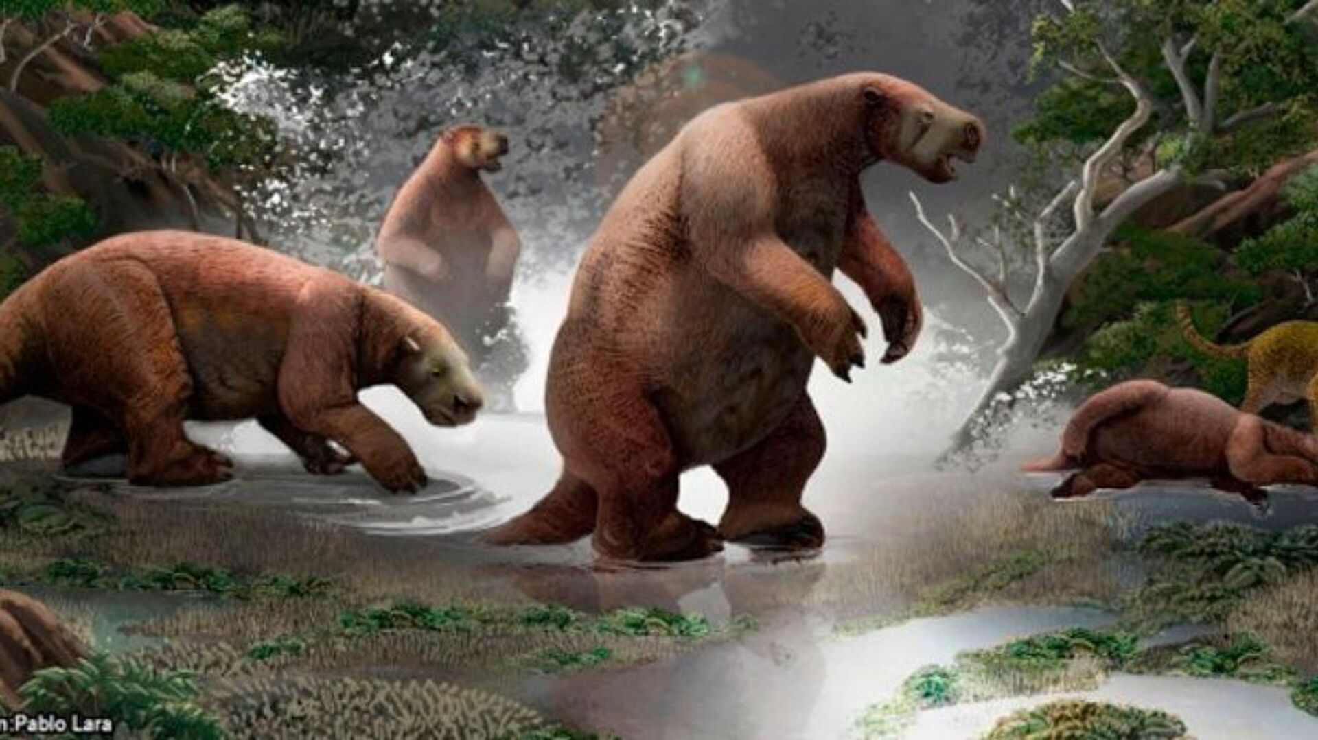Palaeontologists Offer New Clues to One-Ton 'South-American Yeti' That Went Extinct 10,000 Years Ago - Sputnik International, 1920, 18.03.2022