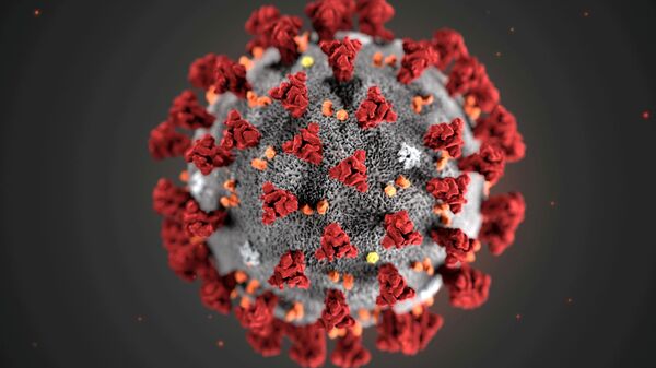 The ultrastructural morphology exhibited by the 2019 Novel Coronavirus (2019-nCoV), which was identified as the cause of an outbreak of respiratory illness first detected in Wuhan, China, is seen in an illustration released by the Centers for Disease Control and Prevention (CDC) in Atlanta, Georgia, U.S. January 29, 2020 - Sputnik International