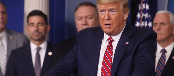 US President Donald Trump - Sputnik International