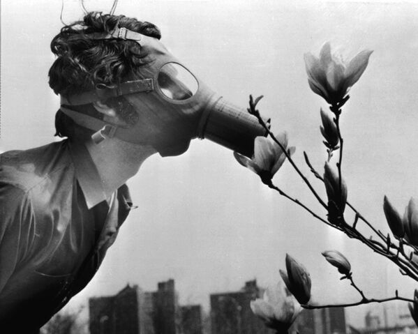 A Pace College student in a gas mask smells a magnolia blossom in City Hall Park on Earth Day, April 22, 1970, in New York.   - Sputnik International