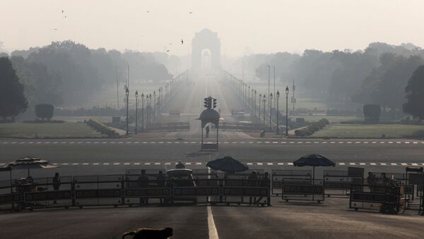 A monkey crosses the road near India's Presidential Palace during a 14-hour long curfew to limit the spreading of coronavirus disease (COVID-19) in the country, New Delhi, India,  March 22, 2020 - Sputnik International