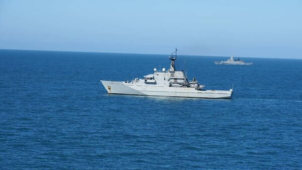 HMS Tyne. Handout released by the Royal Navy on March 26, 2020. - Sputnik International