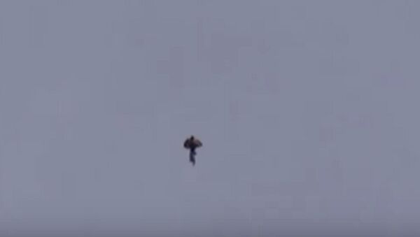 Human-like UFO Spotted in the Skies of Phoenix, Arizona - Sputnik International