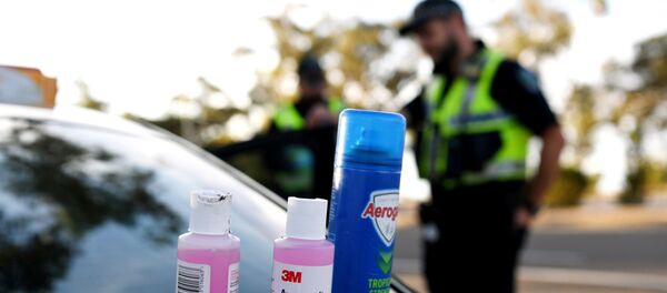 Disinfectant products are seen on a car whilst motorists fill out paperwork for police as they cross back into South Australia from Victoria during the coronavirus disease (COVID-19) outbreak, in Bordertown, Australia, March 24, 2020. - Sputnik International