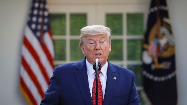 U.S. President Donald Trump speaks during a news conference in the Rose Garden of the White House in Washington, U.S., March 29, 2020. - Sputnik International