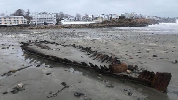 The York Police Department posted this image of the wooden skeleton of a ship uncovered on Short Sands Beach by the weekend nor'easter - Sputnik International