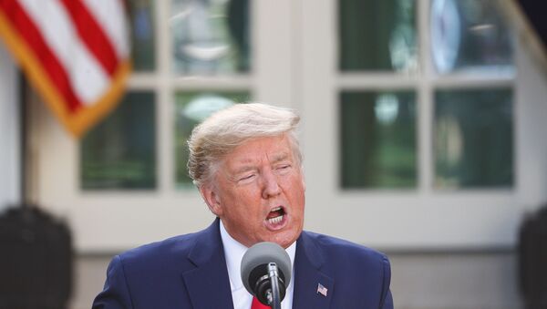 U.S. President Donald Trump addresses the daily coronavirus response briefing in the Rose Garden at the White House in Washington, U.S., March 30, 2020 - Sputnik International
