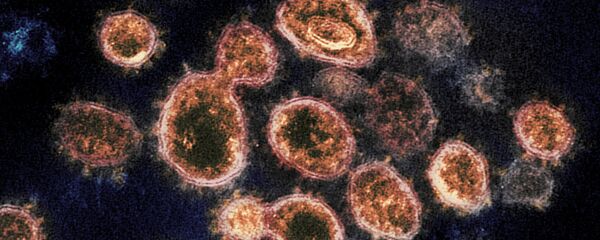 Novel Coronavirus SARS-CoV-2 - Sputnik International