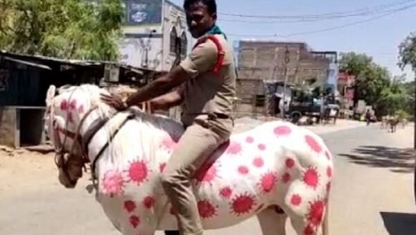 Indian cops now painting horses to spread awareness around coronavirus in India   - Sputnik International
