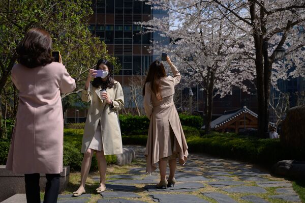 Office workers wearing face masks amid concerns over the COVID-19 novel coronavirus pose for photos with blossoms during their lunch break in central Seoul on March 31, 2020 - Sputnik International