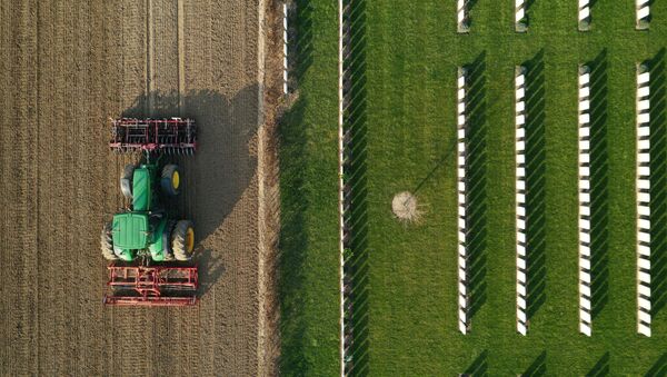 A French farmer drives his tractor to prepare the land before sugar beets sowing in Anneux, France, March 27, 2020. France appealed on Tuesday to workers laid off by the coronavirus (COVID-19) crisis to help farmers pick fruit and vegetables that will otherwise be left to rot in the fields due to a shortage of seasonal workers. Picture taken with a drone - Sputnik International