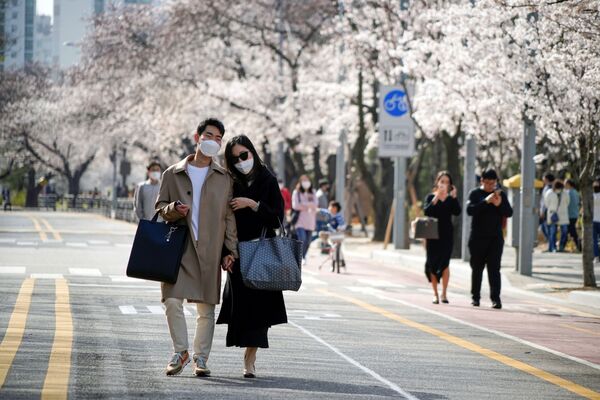 A couple takes a walk near a cherry blossom trees street, closed to avoid the spread of the coronavirus disease (COVID-19), in Seoul, South Korea, April 1, 2020 - Sputnik International