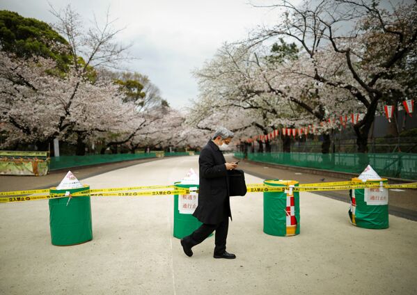 A man wearing a protective face mask, following an outbreak of the coronavirus disease (COVID-19), walks past a closed cherry blossom viewing spot during the first weekend after Tokyo Governor Yuriko Koike (not pictured) urged Tokyo residents to stay indoors in a bid to keep the coronavirus disease from spreading, at Ueno park in Tokyo, Japan March 28, 2020 - Sputnik International