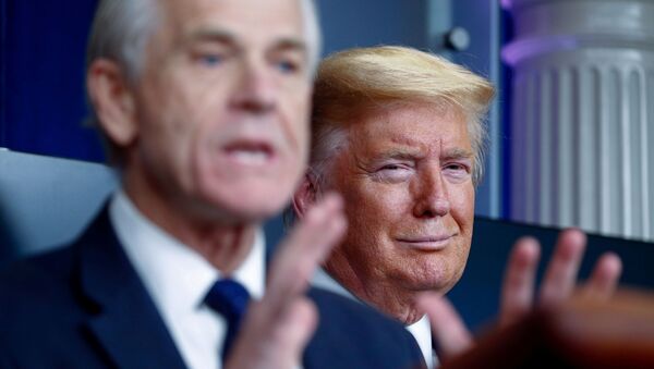 U.S. President Donald Trump listens as White House Director of Trade and Marketing Policy Peter Navarro addresses the daily coronavirus response briefing at the White House in Washington, U.S., April 2, 2020 - Sputnik International