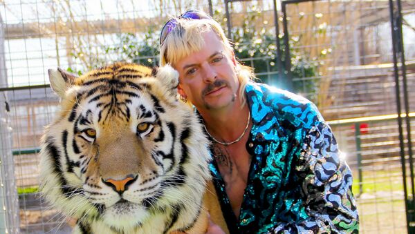 This undated photo courtesy of Netflix shows Joseph Joe Exotic Maldonado-Passage with one of his tigers - Sputnik International