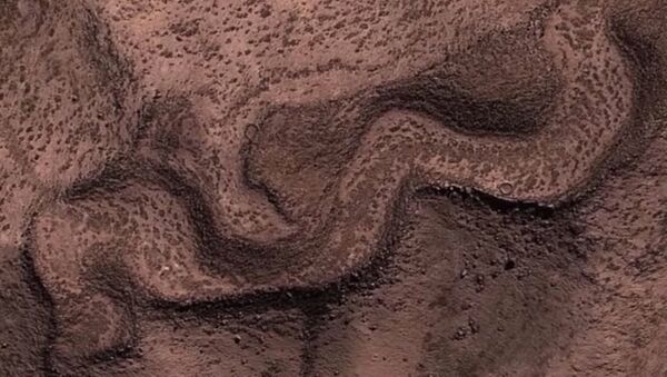 ‘Giant snake’ structure above Nazca Lines - Sputnik International