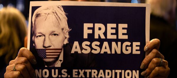 A demonstrator holds a sign during a protest called by Catalan National Assembly (ANC) under the motto Journalism is not a crime to support WikiLeaks founder Julian Assange in Barcelona on February 24, 2020. A demonstrator holds a sign during a protest called by Catalan National Assembly (ANC) under the motto Journalism is not a crime to support WikiLeaks founder Julian Assange in Barcelona on February 24, 2020. - Sputnik International