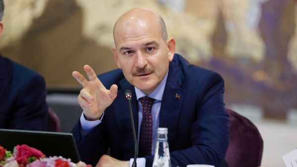 Turkish Interior Minister Suleyman Soylu speaks during a news conference for foreign media correspondents in Istanbul, Turkey, August 21, 2019 - Sputnik International