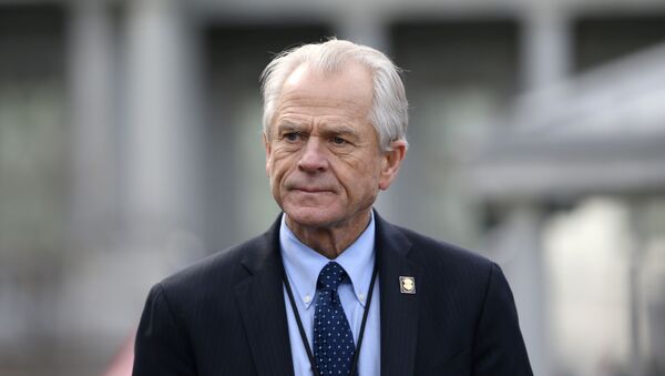 White House trade adviser Peter Navarro listens to a news conference about a presidential executive order relating to military veterans outside of the West Wing of the White House in Washington, U.S. March 4, 2019 - Sputnik International