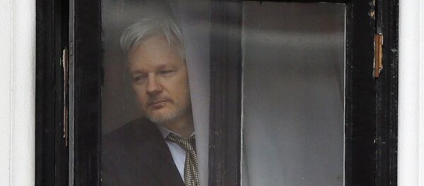 In this Feb. 5, 2016 file photo, Wikileaks founder Julian Assange walks onto the balcony of the Ecuadorean Embassy in London. In this Feb. 5, 2016 file photo, Wikileaks founder Julian Assange walks onto the balcony of the Ecuadorean Embassy in London. - Sputnik International