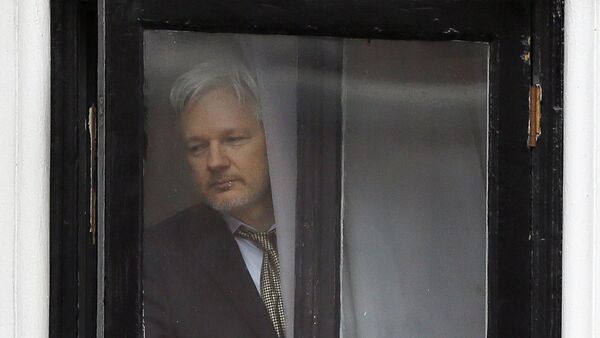 In this Feb. 5, 2016 file photo, Wikileaks founder Julian Assange walks onto the balcony of the Ecuadorean Embassy in London.  - Sputnik International
