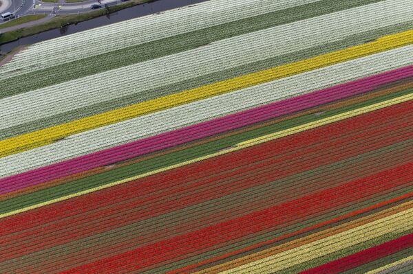 How are Things Panning Out for UK & EU Agri-Food Producers After Brexit? How are Things Panning Out for UK & EU Agri-Food Producers After Brexit? - Sputnik International