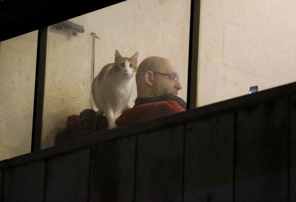 A man sits on his home as his cat looks through a balcony window, after the government ordered quarantine and nighttime curfew aimed at curbing the spread of the new coronavirus, in Beirut, Lebanon, Tuesday, 31 2020 - Sputnik International