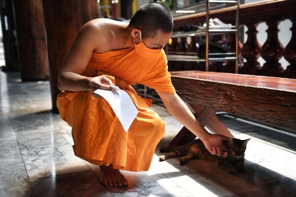 A Buddhist monk wearing a face mask amid concerns over the spread of COVID-19 pets a cat at the Wat Pak Nam Buddhist temple in Bangkok on 15 March 2020 - Sputnik International