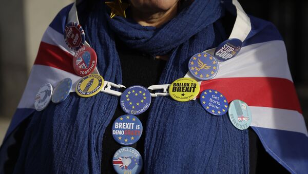 An anti-Brexit remain in the European Union supporter wears badges as she protests outside the Houses of Parliament to coincide with the weekly Prime Minister's Questions at the Houses of Parliament, in London, Wednesday, Feb. 5, 2020 - Sputnik International