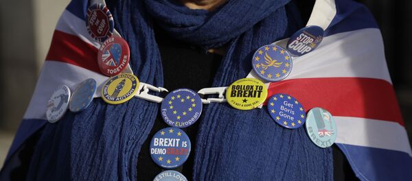 An anti-Brexit remain in the European Union supporter wears badges as she protests outside the Houses of Parliament to coincide with the weekly Prime Minister's Questions at the Houses of Parliament, in London, Wednesday, Feb. 5, 2020 An anti-Brexit remain in the European Union supporter wears badges as she protests outside the Houses of Parliament to coincide with the weekly Prime Minister's Questions at the Houses of Parliament, in London, Wednesday, Feb. 5, 2020 - Sputnik International