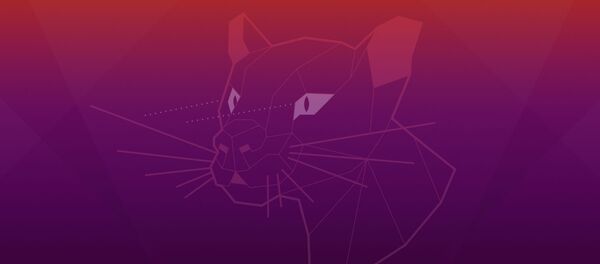 Ubuntu 20.04 Focal Fossa - Sputnik International