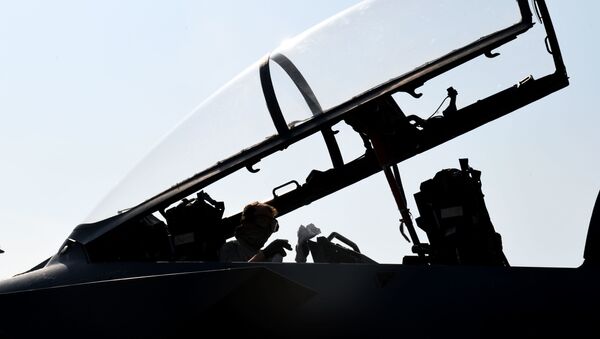 A 494th Aircraft Maintenance Unit crew chief sanitizes the cockpit of an F-15E Strike Eagle to prevent the spread of COVID-19 at Royal Air Force Lakenheath, England, April 16, 2020. - Sputnik International