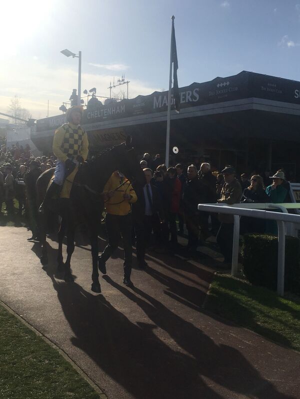 Don’t Let the Cheltenham Racing Festival be the ‘Fall Guy’ for the UK's COVID-19 Failings Don’t Let the Cheltenham Racing Festival be the ‘Fall Guy’ for the UK's COVID-19 Failings - Sputnik International