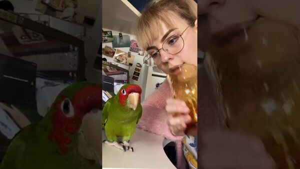 Girl and Parrot Play by Yelling into Glass - Sputnik International