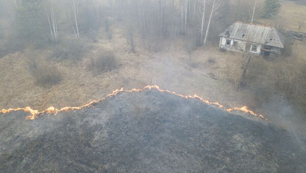 An aerial view shows grass and plants on fire, as an operation to extinguish wildfires around the defunct Chernobyl nuclear plant continues, in Lyudvynivka in Kiev Region, Ukraine 18 April 2020.   - Sputnik International