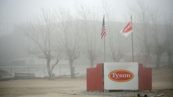 Fog shrouds the Tyson slaughterhouse in Burbank, Washington December 26, 2013 - Sputnik International
