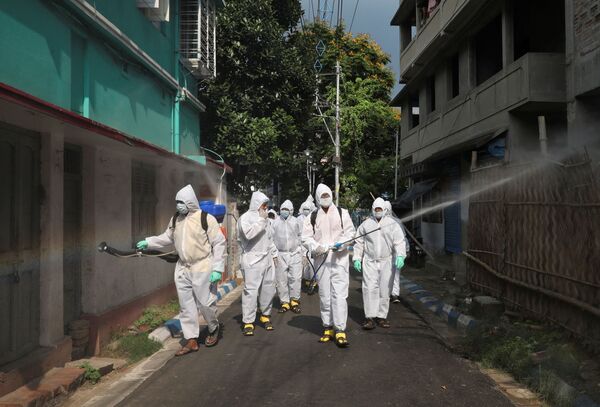 Race Against Time: Producers Rush to Find COVID-19 Vaccine as Global Infections Pass 3.3Mln Race Against Time: Producers Rush to Find COVID-19 Vaccine as Global Infections Pass 3.3Mln - Sputnik International