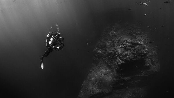 Scuba Diver Near Ocean Floor  - Sputnik International