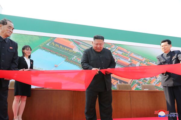 Defectors Who Claimed Kim Jong-un Was Gravely Ill or Dead Apologize for False Speculation Defectors Who Claimed Kim Jong-un Was Gravely Ill or Dead Apologize for False Speculation - Sputnik International