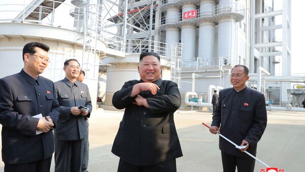 North Korean leader Kim Jong Un attends the completion of a fertiliser plant, in a region north of the capital, Pyongyang, in this image released by North Korea's Korean Central News Agency (KCNA) on May 2, 2020. - Sputnik International