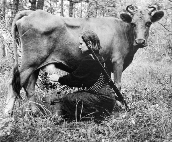 A woman milks a cow in a partisan regiment in Ukraine on 31 July 1943 - Sputnik International