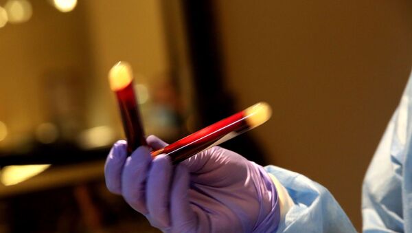 A phlebotomist processes specimens of people getting tested for coronavirus antibodies at the Refuah Health Center on April 24, 2020 in Spring Valley, New York - Sputnik International