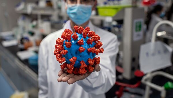In this picture taken on April 29, 2020, an engineer shows a plastic model of the COVID-19 coronavirus at the Quality Control Laboratory at the Sinovac Biotech facilities in Beijing. - Sinovac Biotech, which is conducting one of the four clinical trials that have been authorised in China, has claimed great progress in its research and promising results among monkeys. - Sputnik International