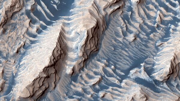 Sedimentary rock and sand, formed over millions or billions of years as loose sediment cemented into place before being eroded by winds into a zebra stripe-like pattern, are seen within Danielson Crater in this image taken by the Mars Reconnaissance Orbiter spacecraft, published September 19, 2019. - Sputnik International