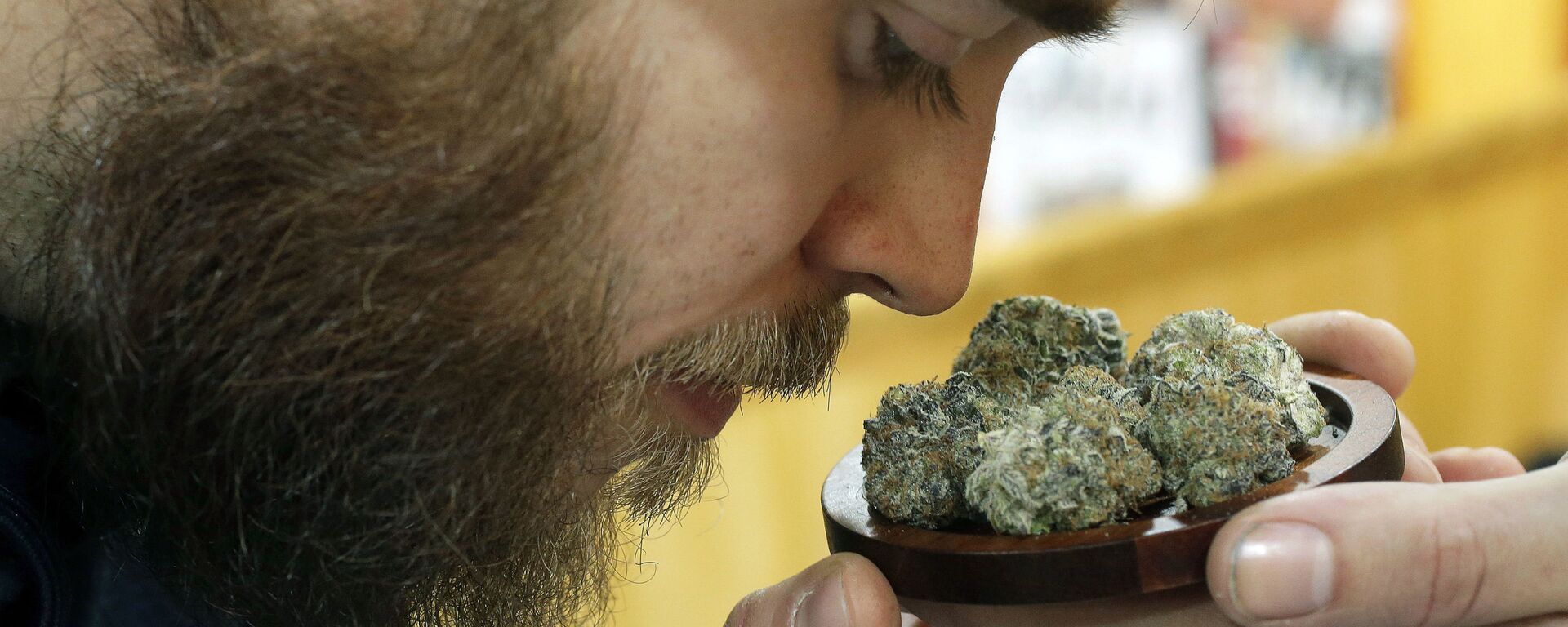 In this In this Dec. 17 2017 file photo, Julian Clark, of Westerly, R.I., smells a strain of marijuana flowers called Cookie Pebbles, at a trade show in Worcester, Mass. Three New England states legalized recreational marijuana, but there is still no place to buy pot legally in the region. Sunday, July 1, 2018, had been the target date to open pot shops in Massachusetts, but no retail licenses have yet been awarded. Possession of small amounts of recreational marijuana becomes legal in Vermont that day, but the law has no provisions for retail sales. Pot shops aren't expected in Maine until 2019 at earliest. - Sputnik International, 1920, 23.08.2022