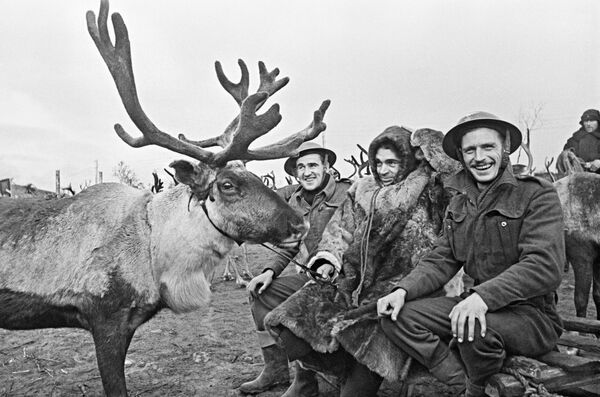 A Soviet reindeer herder with British aircraft mechanics at an airfield in the polar region - Sputnik International