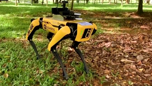 Screenshot of the video of the robot-dog patrolling the parks in Singapore to encourage social distancing - Sputnik International